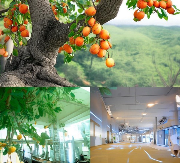 索伦科技开发有限公司，科技与未来创新的引领者